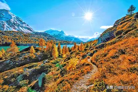 手机拍照片不清晰，怎么办？摄影师告诉你7大注意事项图片