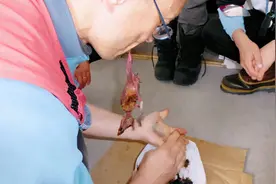 世界上最臭的美食，堪比生化武器，当地人却当做重要美食图片