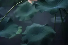 越是从底层出来的人，越要读读这十句话图片