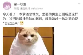 那些年看过的沙雕霸总文图片
