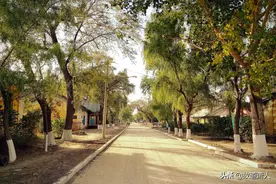 齐齐哈尔这条街和哈尔滨中央大街齐名，却鲜有人知！图片