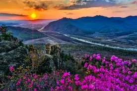 “林区三问”的伊春新答卷——习近平总书记考察伊春林区五周年纪实图片