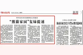 复绿提速，“熊猫家园”有了新变化！图片