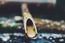 说一说喜欢的作者：丁墨、天下归元、顾漫、墨宝非宝、匪我思存图片