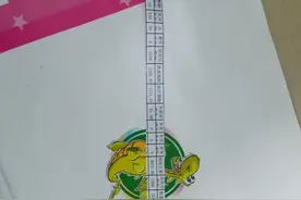 中学一级教师工资条图片