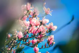 父亲去世后，母亲点名让女儿养老却惨遭拒绝：请做个不偏心的父母图片