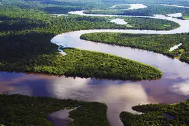 全长6400公里！亚马逊河上没有一座跨河大桥，不能建还是不敢建？图片