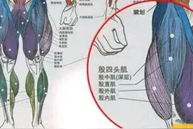 健身腿部训练图片