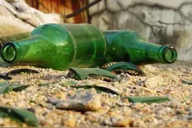 总有鸟来吃玉米种怎么办？农民在地里放了几个瓶子和带子解决了图片