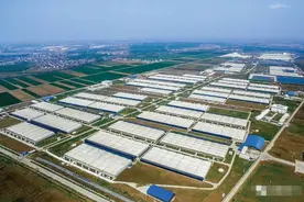 中国"猪王"被央广点名，一斤猪肉净赚9块，卖猪比卖茅台还赚钱图片