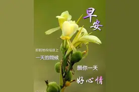 中老年表情包：人生，不要被安逸所控制，决定成功的，是奋斗图片