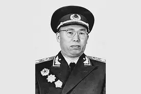 山东军区八个主力师的去向图片