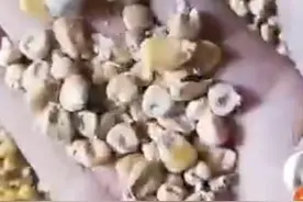 网传黑龙江国家储备粮出现质量问题 中储粮：已开展调查图片