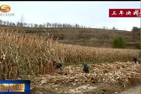 「三年决战奔小康」精准扶贫之庄浪模式（二）：撂荒地里分红忙视频封面