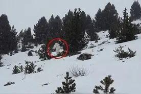 在中国发现的4大未知生物，个个神秘诡异，只有一种确定存在？图片