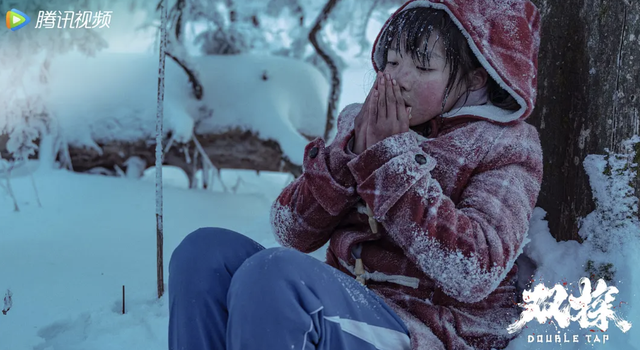 一口气看完14集《双探》，我心情复杂地写下了这篇文章