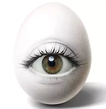 ɻ֪ʮ߻