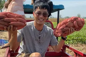 演员郭晓东晒照庆丰收，满脸笑容接地气，被赞山东好小伙儿图片