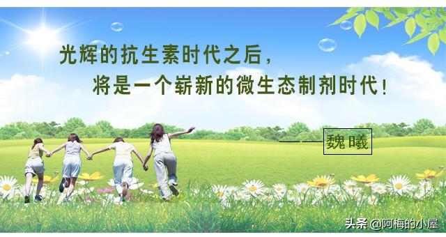 省钱妙招：EM原露自制氨基酸液体肥