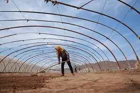 一亩钢架大棚需要多少钱，大棚种植能挣钱吗？种植什么作物挣钱图片