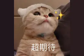 四六级下周开始报名！各省市报名时间汇总，名额还要抢图片