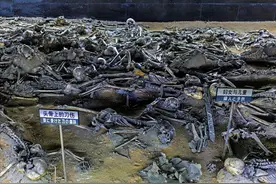 平顶山惨案，为何3000多名遇难同胞会束手就擒，幸存者还原真相图片