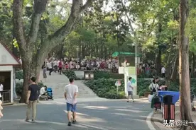 “相亲角”​探密：我既然来这里，就没想过找爱情图片