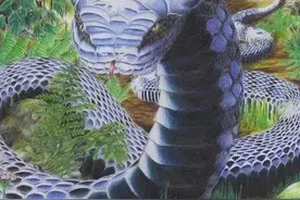 古代志怪故事：亥氏夫人，猪精图片