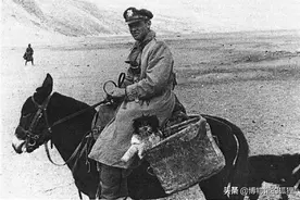 美军上尉多兰为何自尽？八路母亲曾为掩护他，在地道里捂死了亲儿图片