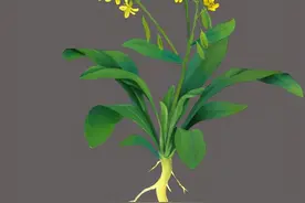 说文辨色：青出于蓝，青是什么颜色？《天工开物》是怎么描述的？图片