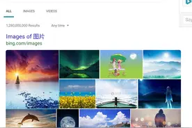 大数据时代，怎么能不了解“爬虫”是什么？图片
