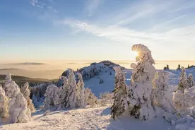 给机械专业学生一些建议图片