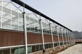 智能连栋温室大棚降温方式大汇总、以及不同地区温室降温建议组合图片