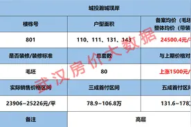 武汉房价：城投瀚城璞岸 时隔1年加推 高层均价24500上涨1500元图片