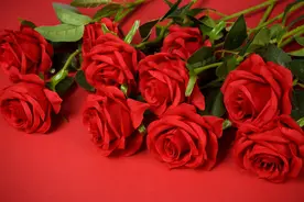 玫瑰花怕枯萎，又不想丢掉？简单又实用。快学起来吧图片