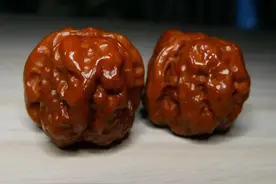 玩核桃，有了这4种刷子，不愁盘不出玉化包浆图片