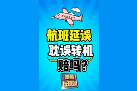 睡前学点法 | 航班晚点，中途转机赶不上，航空公司赔不赔？图片