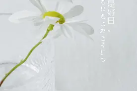 今天份摄影｜玻璃杯与小白菊图片