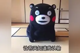为什么你去网上赌博，永远都会输？图片