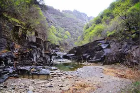 梅逊克里克煤矿发现化石，专家不知道是什么物种，连名字都没有图片