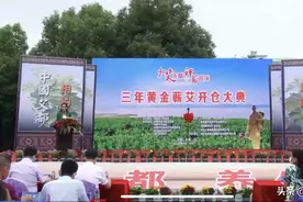 中国艾都湖北蕲春万吨“三年黄金蕲艾”开仓仪式图片