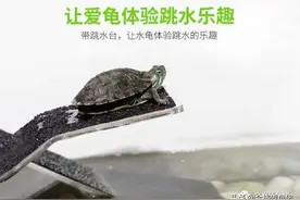 你有没有被跳水晒台收割智商税？图片