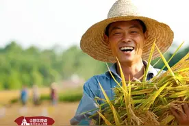 世界粮食日，五谷丰登结硕果图片