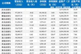 山东15家农商行哪家强？来看半年报大盘点图片