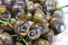 济宁“四大怪”的来源和发展图片