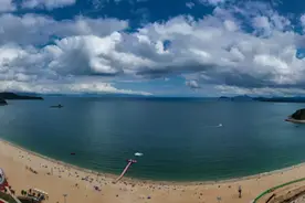 军菜的代表：你不知道的深圳乳鸽故事图片