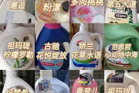 斩男香洗衣液集合！伪体香的秘密~腌入味的大牌香水洗衣液图片