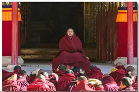 藏区纪实·“东方瑞士”郎木寺，领经喇嘛的佛门狮子吼图片