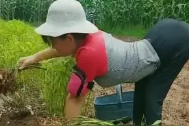 穿2双鞋子爬行36年的漂亮女孩，小丈夫22岁，20万人被其乐观感动图片