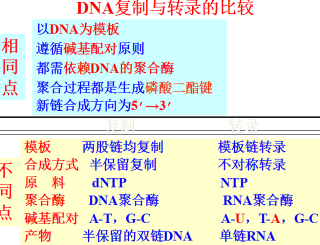 高中生物化学复习提纲，必考榜。’